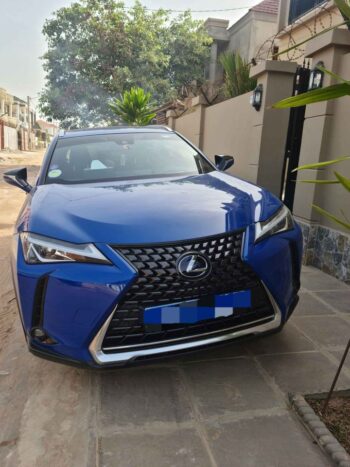 Lexus UX 250h Hybrid  -  SOLD