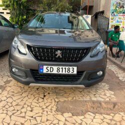 Peugeot 2008 GT Line